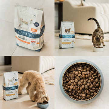 Kodėl <em><strong>freeze-dried meat coated </strong></em>technologija yra išskirtinė?