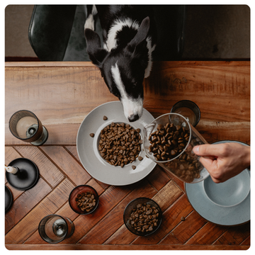<strong>Ingredientai</strong> – tai, ką nurodome ant etiketės, tai yra ir pakuotės viduje